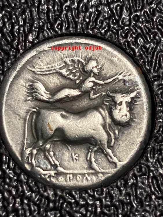 Napoli Didracma R.jpg