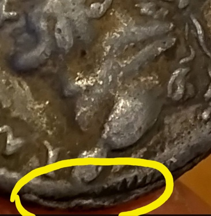 Screenshot_20231206_170832_Samsung Internet.jpg