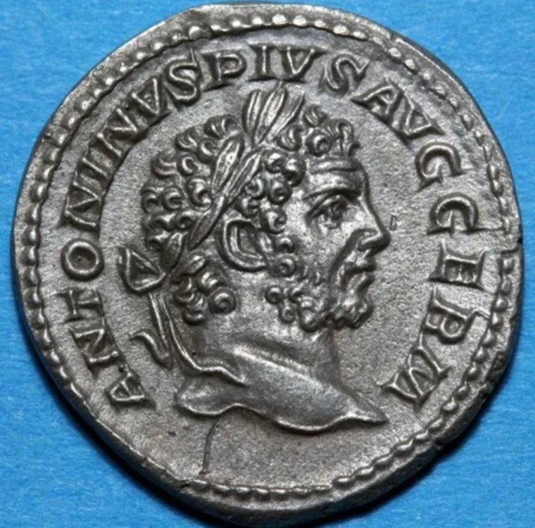 Screenshot_20231212_160212_Samsung Internet.jpg