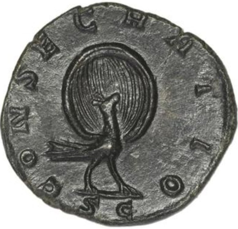 Screenshot_20231217_120549_Samsung Internet.jpg