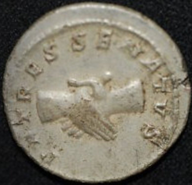 Screenshot_20231227_091828_Samsung Internet.jpg