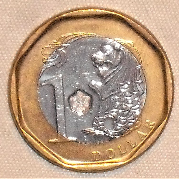 1 dollaro 2013 r.JPG