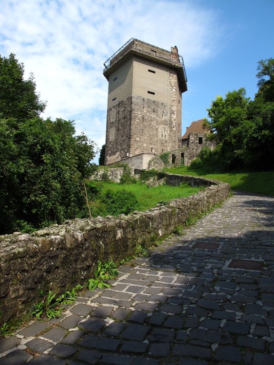 Alsóvár_(Salamon-torony)31.JPG