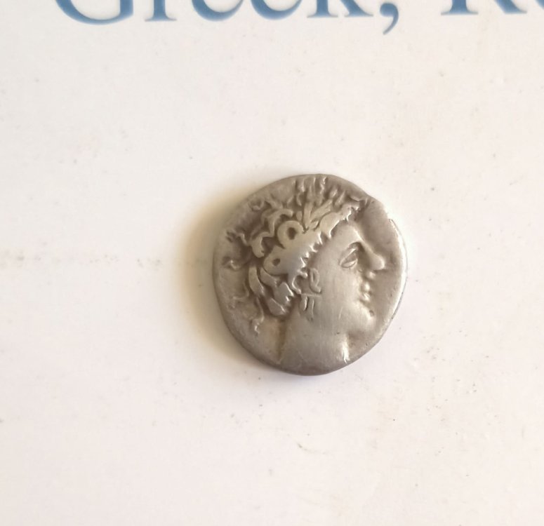 IMG_20240113_121619 (1).jpg