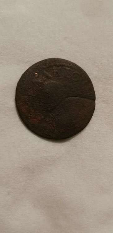 IMG_20240124_190306 [Risoluzione del desktop].jpg