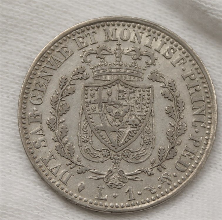 Lira1826T_R.jpg