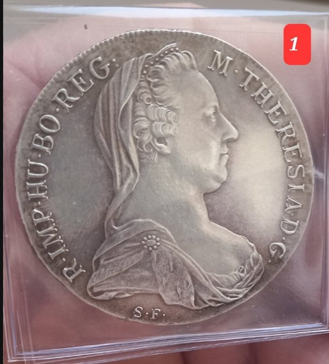 Screenshot_20240111-114240_Photo Editor Pro - Polish.jpg