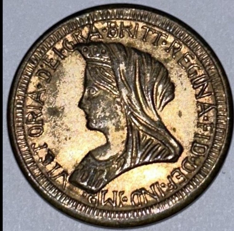 WhatsApp Image 2024-01-11 at 14.04.19 (1).jpeg