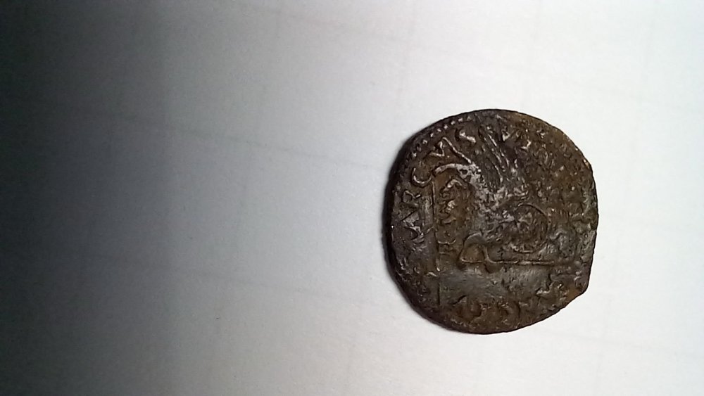 bagattino per padova ZAM.jpg