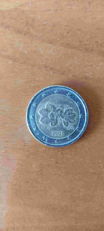 1707384227367 (1).jpg