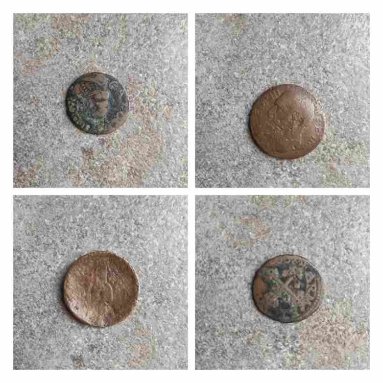 InCollage_20240212_110717660-min (1)_11zon.jpg