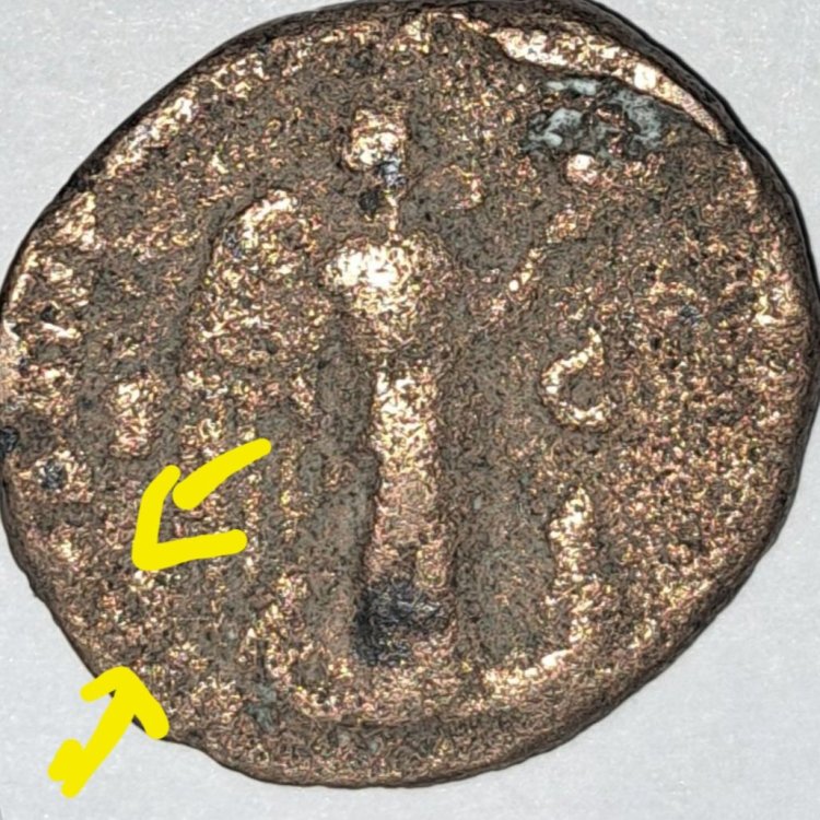 Screenshot_20240202_115323_Samsung Internet.jpg