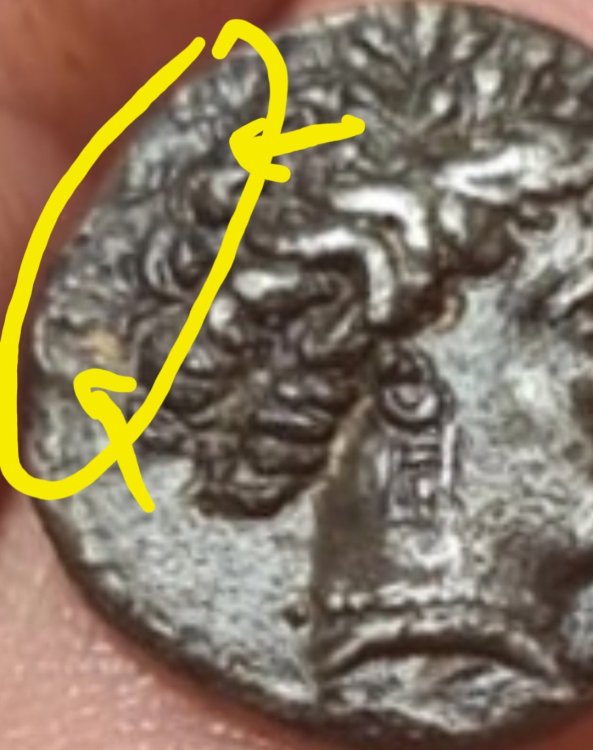 Screenshot_20240207_120244_Samsung Internet.jpg