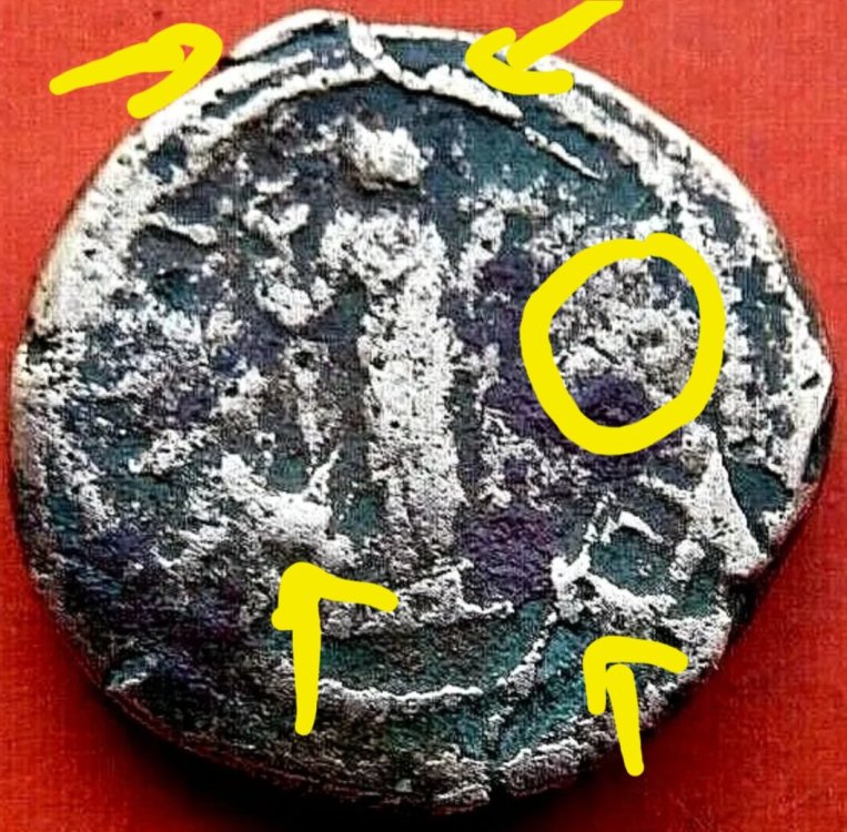 Screenshot_20240209_153159_Samsung Internet.jpg