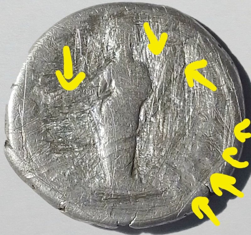 Screenshot_20240217_210636_Samsung Internet-01.jpeg