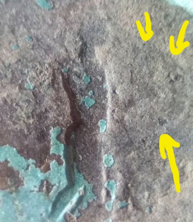 Screenshot_20240224_101403_Samsung Internet.jpg