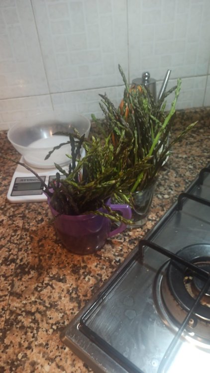 WhatsApp Image 2024-02-04 at 11.54.05.jpeg