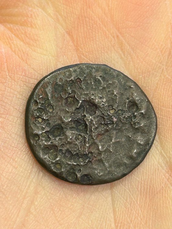 WhatsApp Image 2024-02-18 at 16.06.23 (1).jpeg