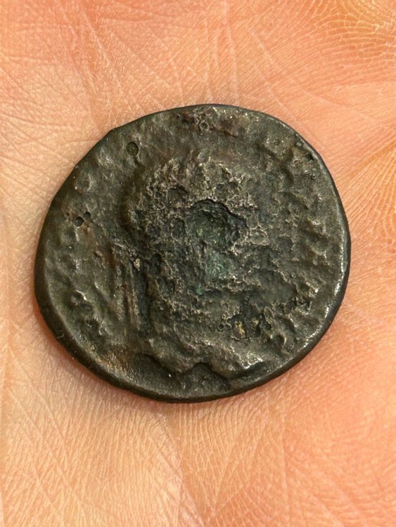 WhatsApp Image 2024-02-18 at 16.06.23 (2).jpeg