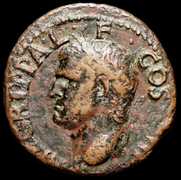 agrippa-1.thumb.jpg.42ea42da3d01baa7d0a3b29d1339587b.jpg