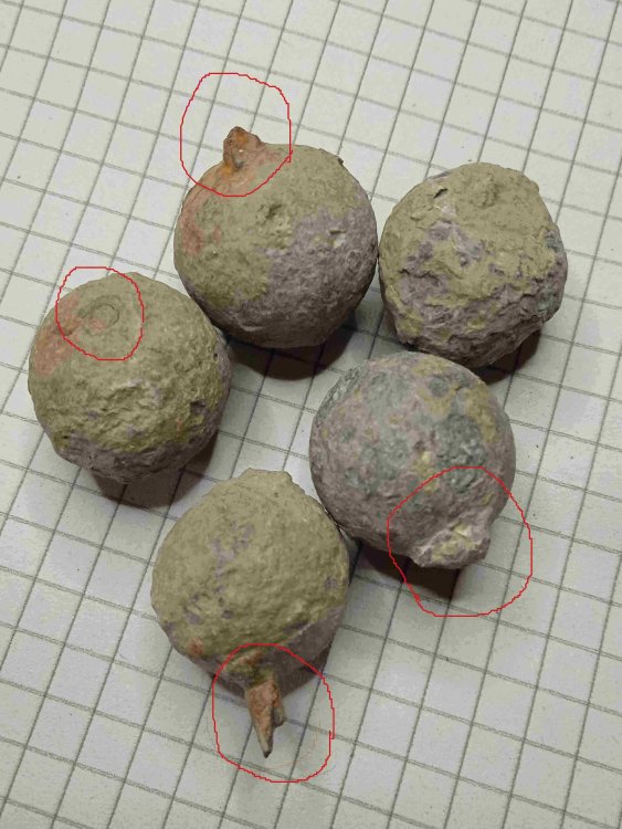 oggetti sconosciuti forse pesi2 .jpg