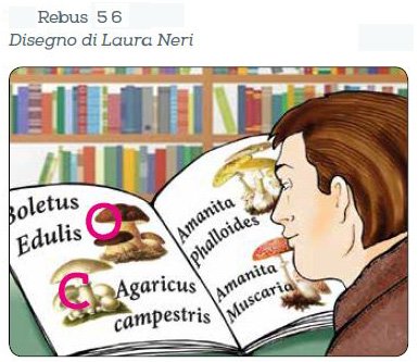 7.rebusfunghi.JPG.6306318b34dd6ff05c2b24e523ba7f46.JPG