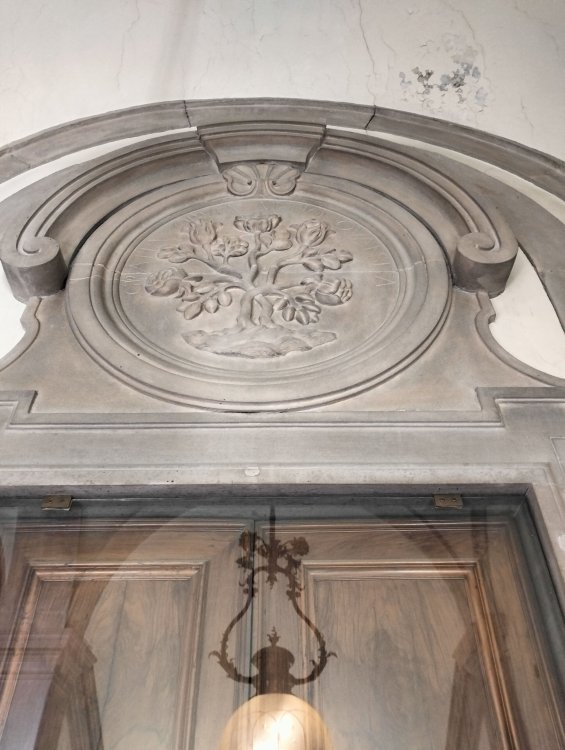 IMG20231217133540 (1).jpg