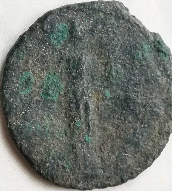 Screenshot_20240304_115508_Samsung Internet-01.jpeg