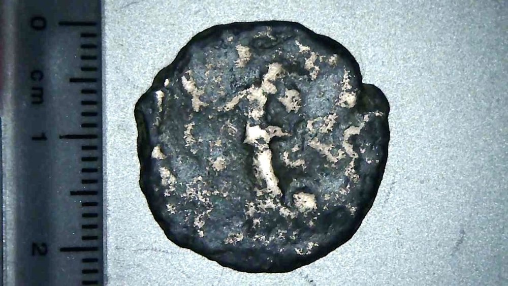 SingleShot0007 copia.jpg