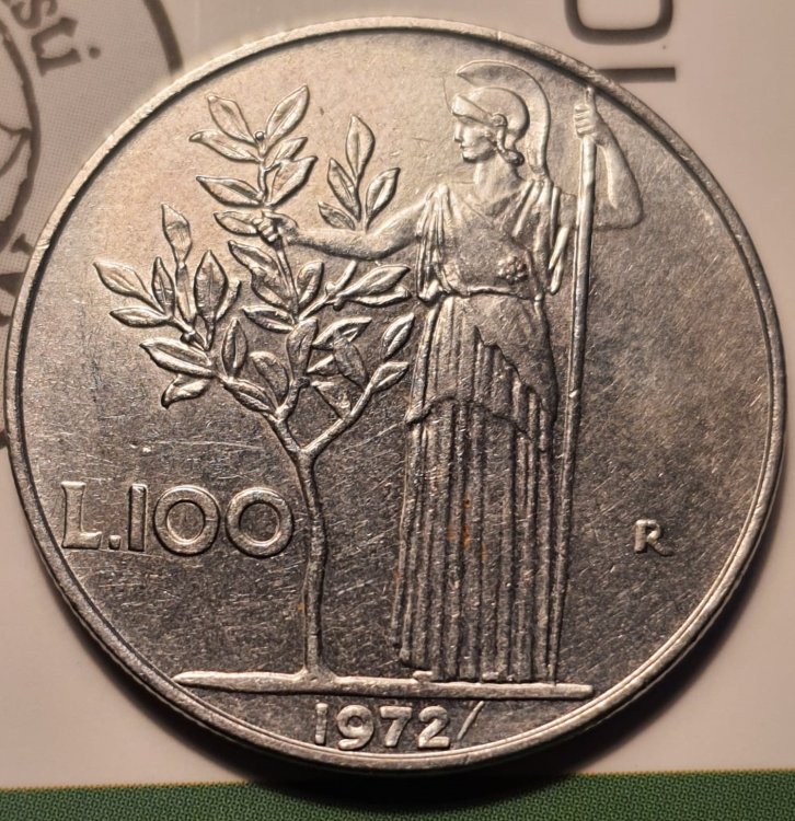 WhatsApp Image 2024-03-13 at 15.52.39.jpeg