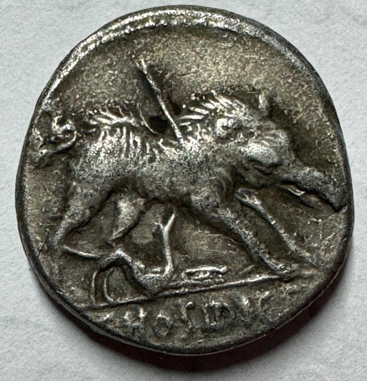 denario hosina rovescio.jpg