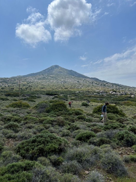 08.Επιφανειακή έρευνα στις παρυφές του Ελλανίου Όρους με την κορυφή στο βάθος.jpg