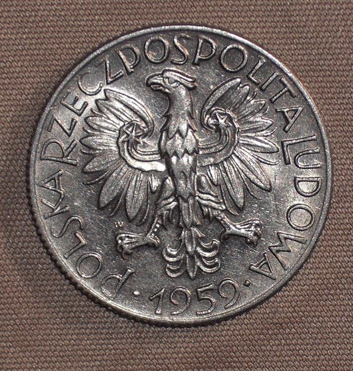 5 zlotych 1959 d.JPG
