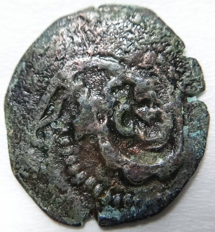 DRITTO MONETA ID.jpg