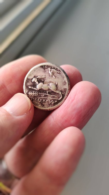 IMG20240416143938 (1).jpg