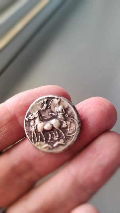 IMG20240416143946 (1).jpg