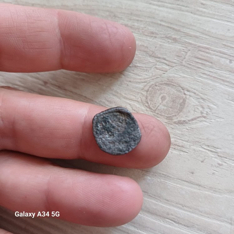 Immagine WhatsApp 2024-04-21 ore 15.48.55_1d1df460.jpg