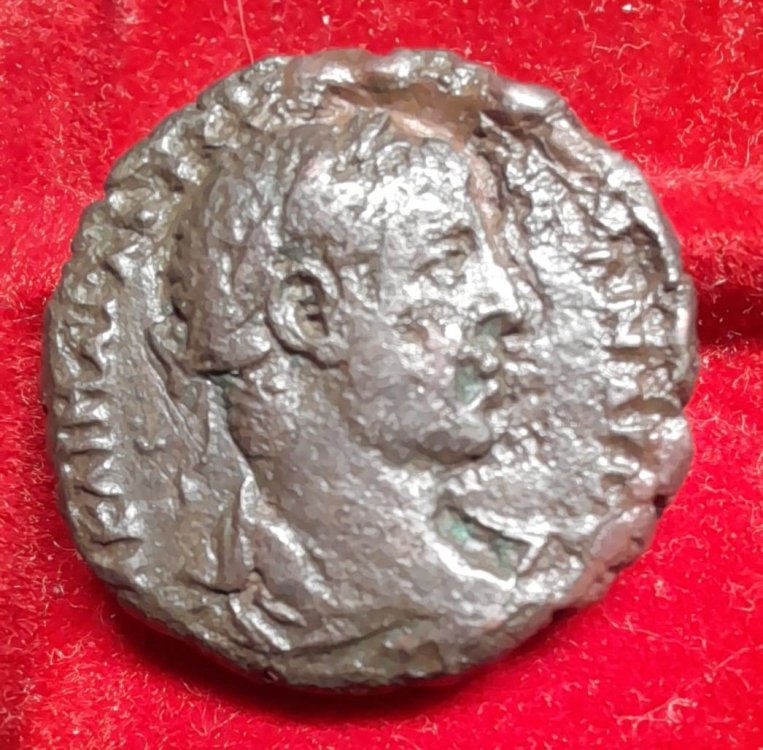 WhatsApp Image 2024-04-10 at 02.18.47 (3).jpeg