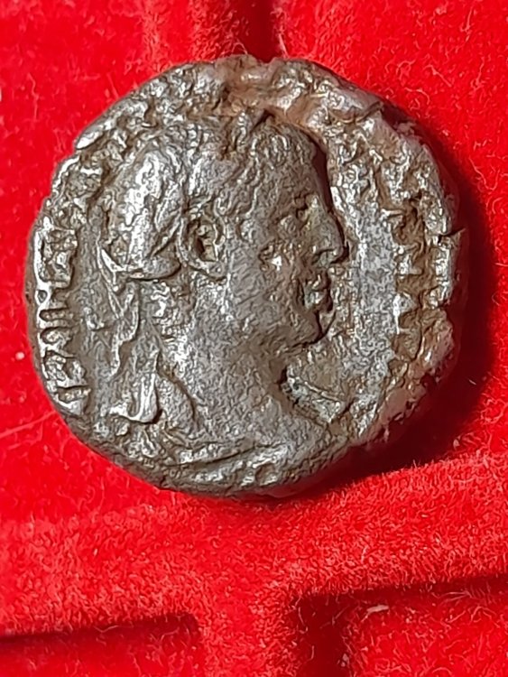 WhatsApp Image 2024-04-10 at 02.18.48.jpeg