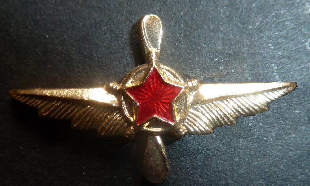 023.spilla militare.JPG