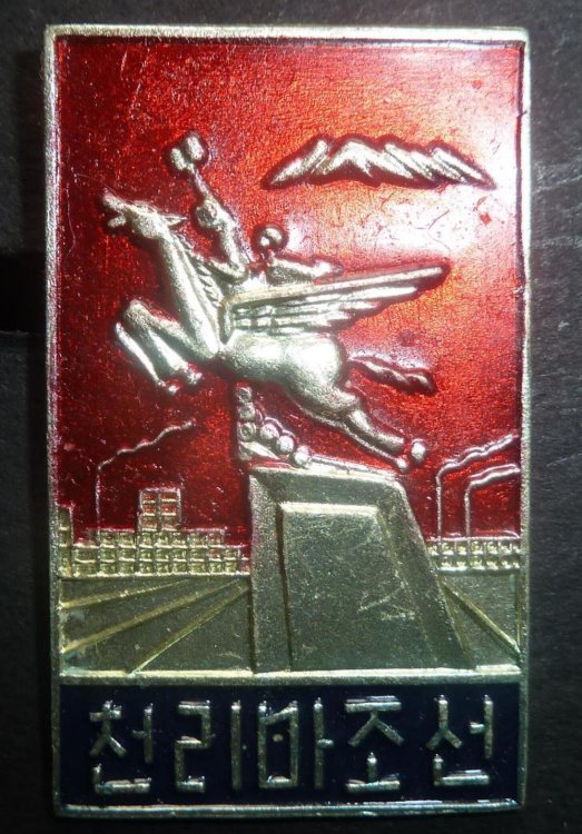 080.forse Cinese.JPG