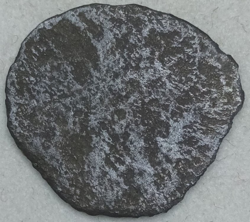 20240414_201936-min-min (1).jpg