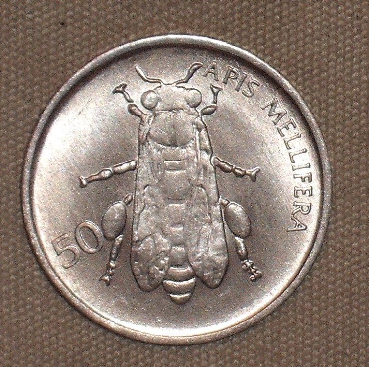 50 stotinov 1993 r.JPG