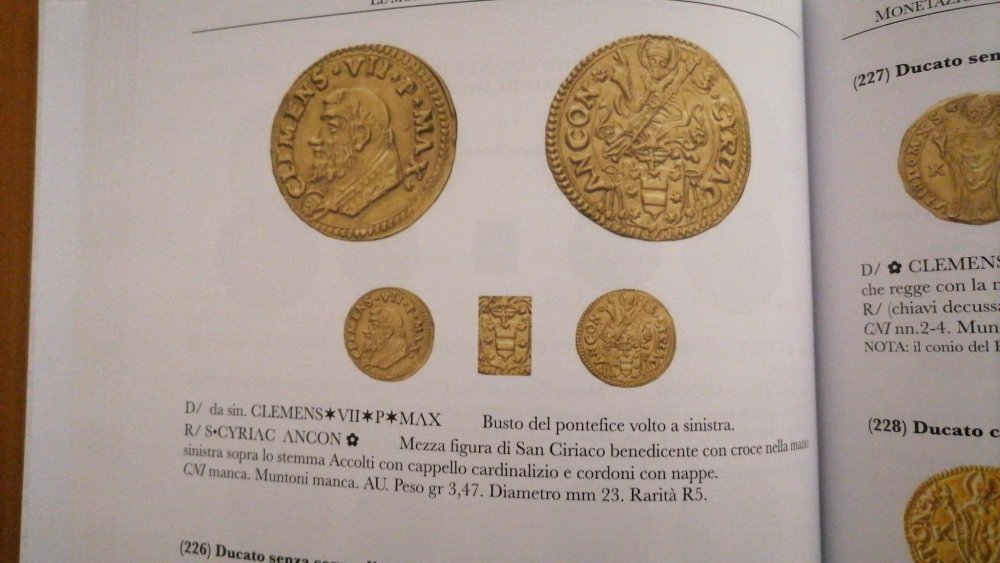 Clemente VII - Ancona.jpg