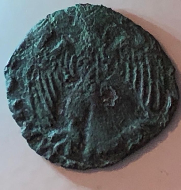 Immagine WhatsApp 2024-05-06 ore 15.27.48_7f91ff7a.jpg