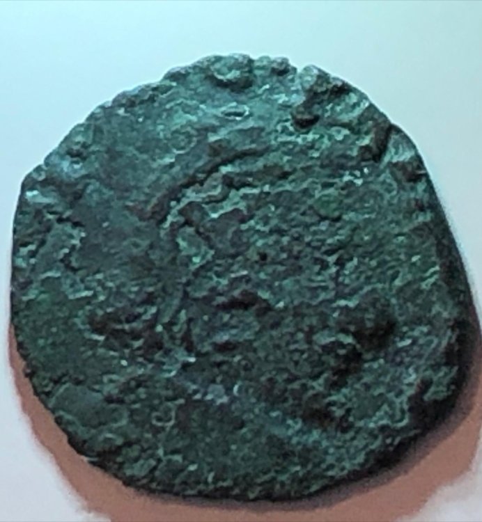 Immagine WhatsApp 2024-05-06 ore 15.27.57_5e4efc55.jpg