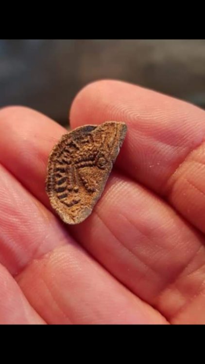 Screenshot_20181225-130513 (1).png