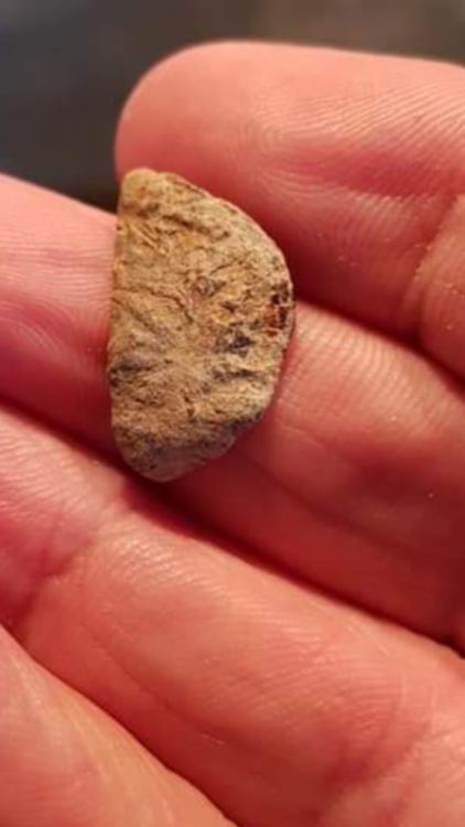 Screenshot_20181225-130522 (1).png