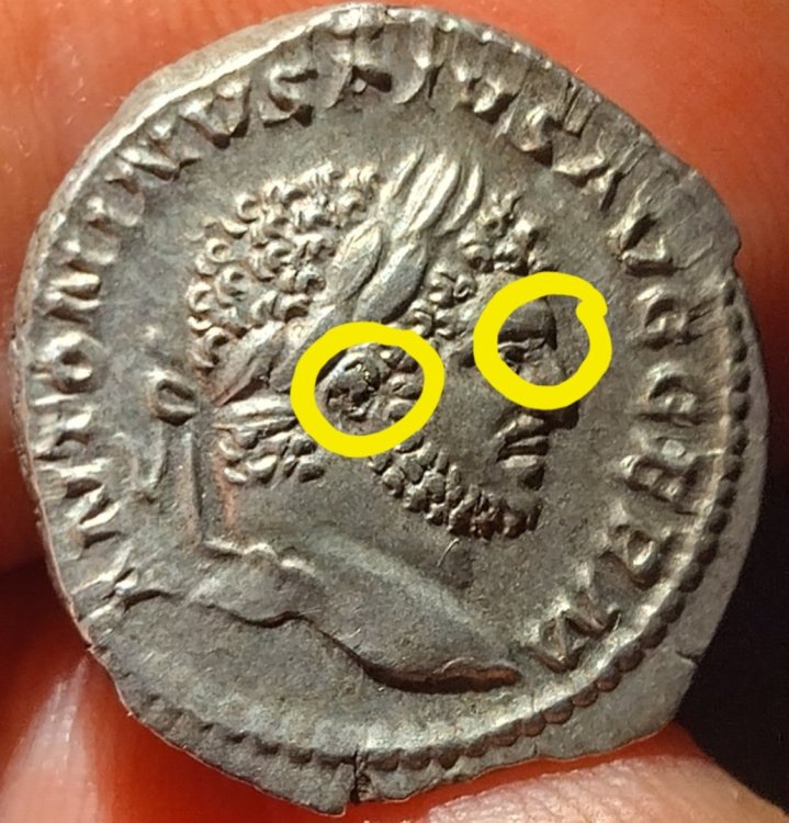 Screenshot_20240507_191311_Samsung Internet.jpg