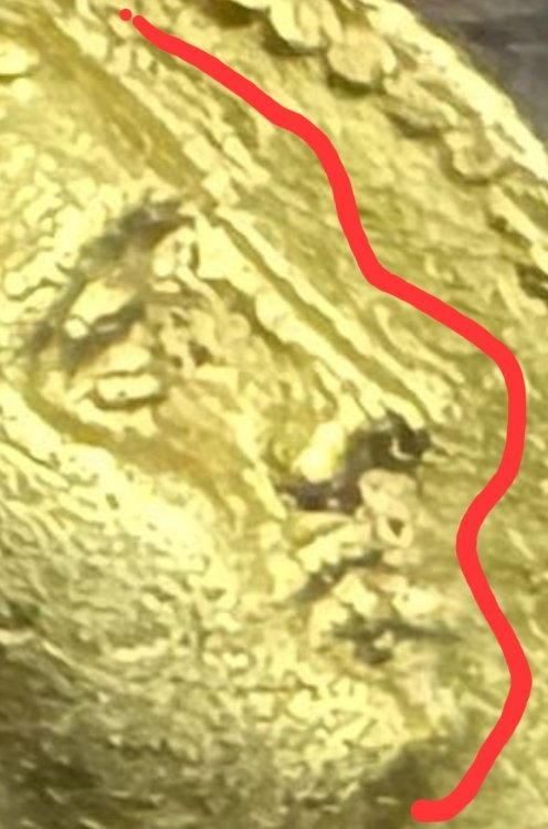 Screenshot_20240519_181746_Samsung Internet.jpg